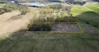 Plot of land in Kryziauka I, Lithuania