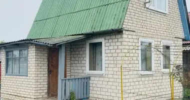 Дом в Старобинский сельский Совет, Беларусь