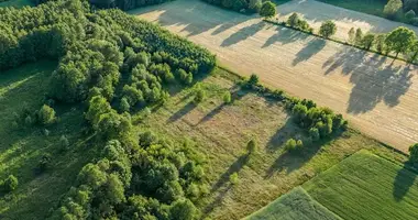 Mieszkanie w Boruja Nowa, Polska