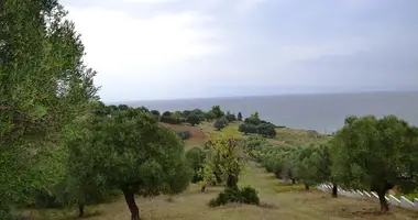 Terrain dans Kassandra Municipality, Grèce