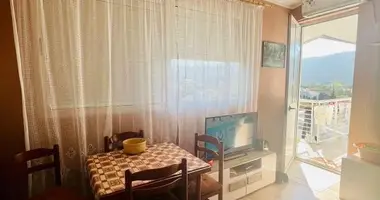 Apartamento 1 habitacion en Polje, Montenegro