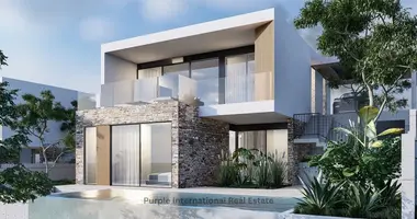 Villa 3 bedrooms in Yeroskipou, Cyprus