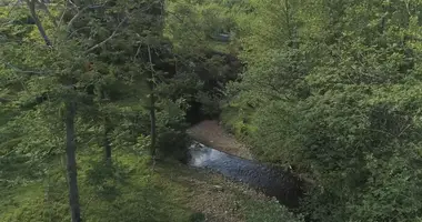 Plot of land in Tsikhisdziri, Georgia