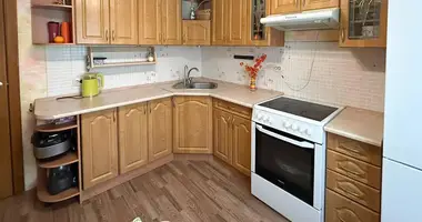 1 bedroom apartment in Minsk, Belarus