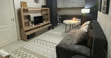 1 bedroom apartment in Podgorica, Montenegro