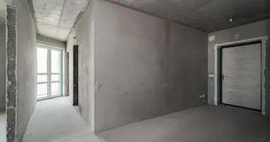 2 room apartment in Minsk, Belarus