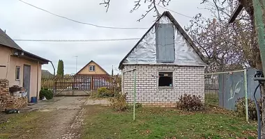 House in Kaliuha, Belarus