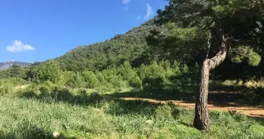 Parcela en Turquía