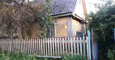 Casa en Slutsk District, Bielorrusia