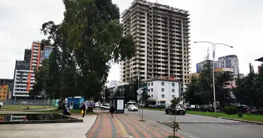 Квартира 2 комнаты в Батуми, Грузия