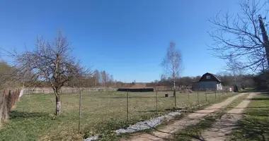 Terrain dans Puchavicki sielski Saviet, Bélarus