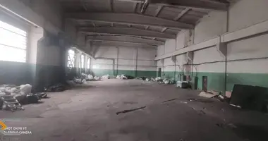 Fabrication 821 m² dans Borissov, Bélarus
