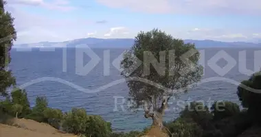 Terrain dans Kassandra Municipality, Grèce