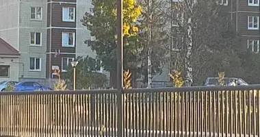 Zimmer 3 zimmer in Lukasi, Russland