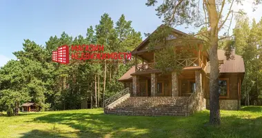 Коммерческое помещение 384 м² в Незбодичский сельский Совет, Беларусь