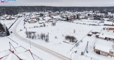Działka w Rukojnie, Litwa