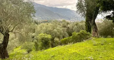 Działka w Municipality of Central Corfu and Diapontia Islands, Grecja