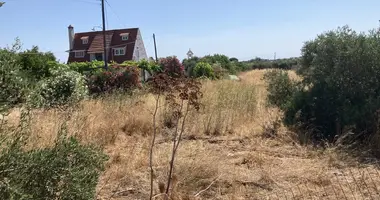 Plot of land in Sternes, Greece