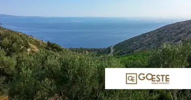 Maison dans Opcina Dezanovac, Croatie