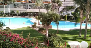 Apartamento 3 habitaciones en Benidorm, Španjolska