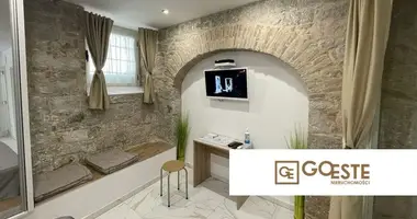1 room apartment in Opcina Dezanovac, Croatia
