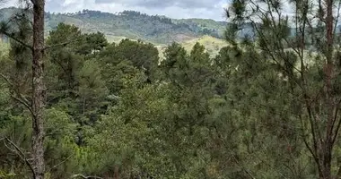 Grundstück in Jarabacoa, Dominikanische Republik