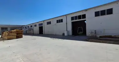 Commercial property 1 550 m² in Marqinet 1, Albania