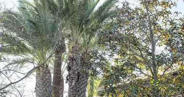 Villa en San Pedro del Pinatar, Španjolska