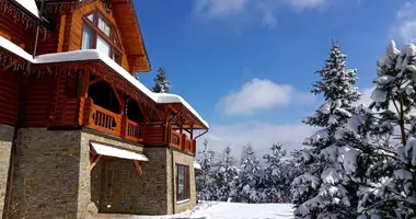 House in Skhidnytsia, Ukraine