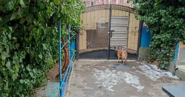 Gewerbefläche 288 m² in Satoka, Ukraine