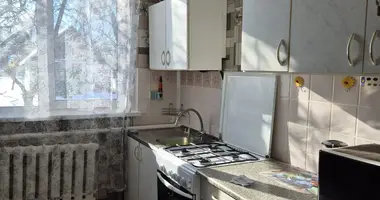 Cottage in Nieharelski sielski Saviet, Belarus