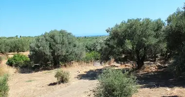 Terrain dans Municipality of Chersonissos, Grèce