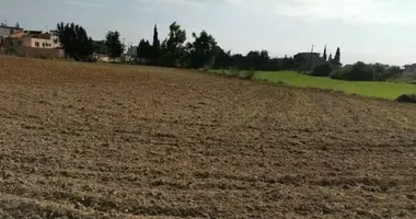 Appartement dans Asgata, Chypre