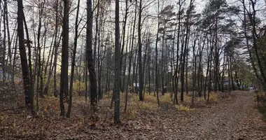 Plot of land in Masovian Voivodeship, Poland