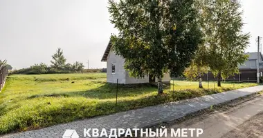 Plot of land in Radashkovichy, Belarus