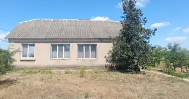 Dom 4 pokoi w Nerubaiske, Ukraina