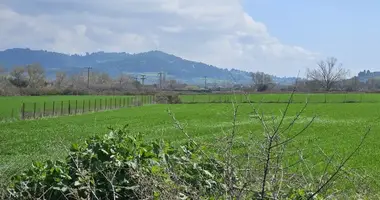 Plot of land in Skala Fourkas, Greece