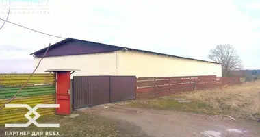 Warehouse 3 rooms in Halysova, Belarus
