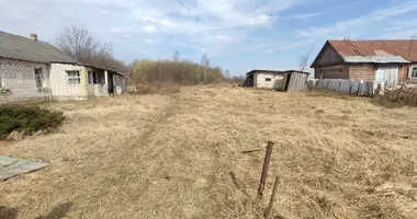House in Sienicki sielski Saviet, Belarus