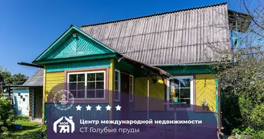 House in Dziahilna, Belarus