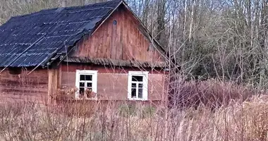 Dom w Krasnienski sielski Saviet, Białoruś