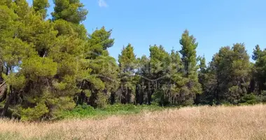 Plot of land in Kassandra Municipality, Greece