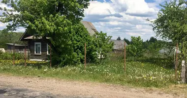 Dom w Kniahininski sielski Saviet, Białoruś