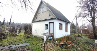 House in Rudzienski sielski Saviet, Belarus
