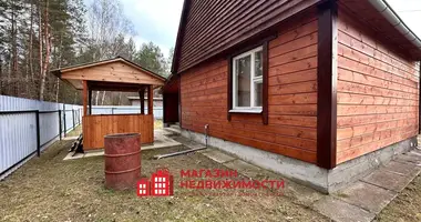 House in Sapockinski sielski Saviet, Belarus