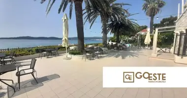 House 19 rooms in Opcina Dezanovac, Croatia