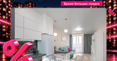 1 bedroom apartment in Minsk, Belarus