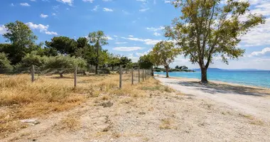 Terrain dans Neos Marmaras, Grèce