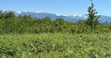 Parcela en Chokhatauri, Georgia