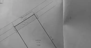 Plot of land in Kampiskiai, Lithuania